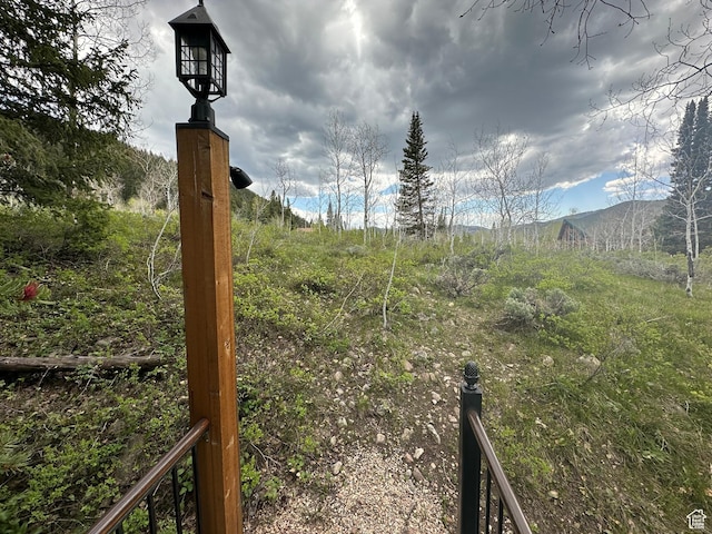 9281 N Uinta Dr Unit 348, Oakley, UT 84055 - view of yard