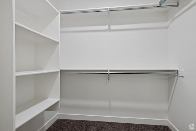 5957 W Lake Ave, South Jordan, UT 84009 - spacious closet featuring dark colored carpet