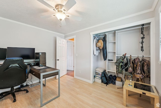 981 N Tremont St, Tremonton, UT 84337 - office featuring light wood-style floors, ceiling fan, baseboards, ornamental molding, and a textured ceiling