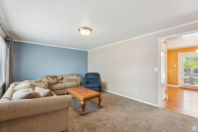 981 N Tremont St, Tremonton, UT 84337 - living area featuring baseboards, carpet, a textured ceiling, and ornamental molding