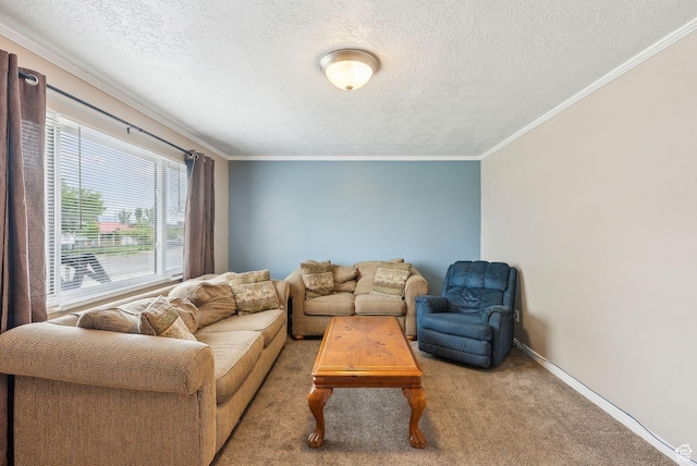 981 N Tremont St, Tremonton, UT 84337 - living room featuring a textured ceiling, crown molding, carpet flooring, and baseboards