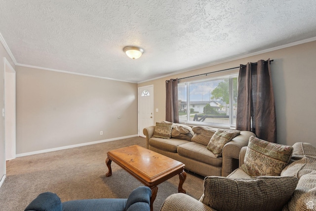 981 N Tremont St, Tremonton, UT 84337 - living room with ornamental molding, carpet, baseboards, and a textured ceiling