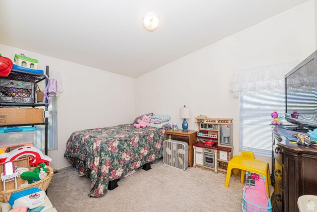 90 N 300 E, Malad City, ID 83252 - photo 48