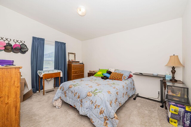 90 N 300 E, Malad City, ID 83252 - photo 62