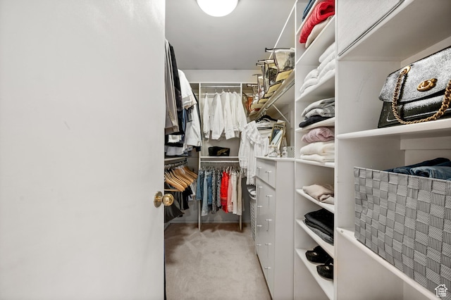 8848 S Willow Hills Ct, Sandy, UT 84093 - walk in closet featuring carpet