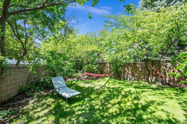 8848 S Willow Hills Ct, Sandy, UT 84093 - view of yard