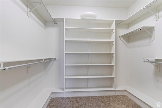 3524 N 3000 W, Farr West, UT 84404 - walk in closet featuring carpet floors