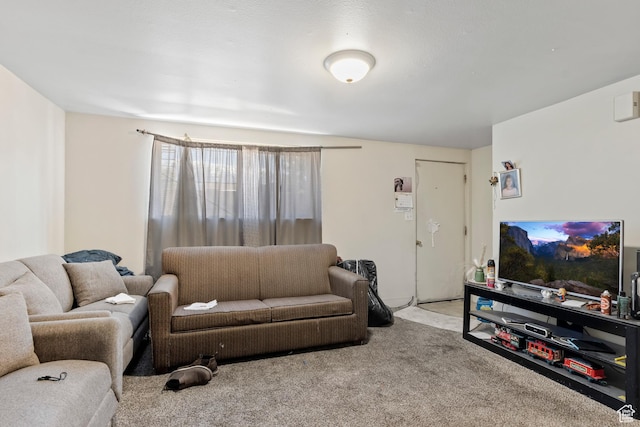 285 N 300 W, Orem, UT 84057 - view of carpeted living area