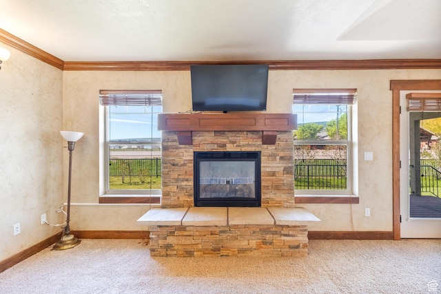 2029 S Cottage Ln, Garden City, UT 84028 - unfurnished living room featuring carpet, baseboards, a stone fireplace, and ornamental molding