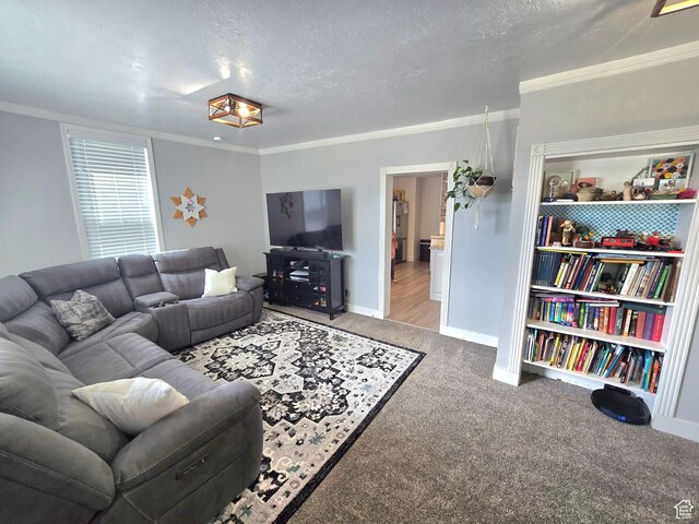 1191 N Geneva Rd, Provo, UT 84601 - carpeted living area featuring crown molding, baseboards, and a textured ceiling