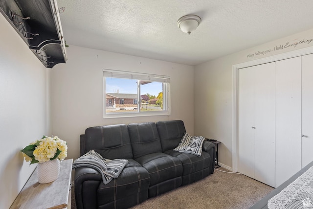 1265 W 1625 S, Syracuse, UT 84075 - carpeted living area featuring a textured ceiling