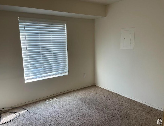448 Alamo St, Chubbuck, ID 83202 - spare room with carpet, electric panel, and healthy amount of natural light