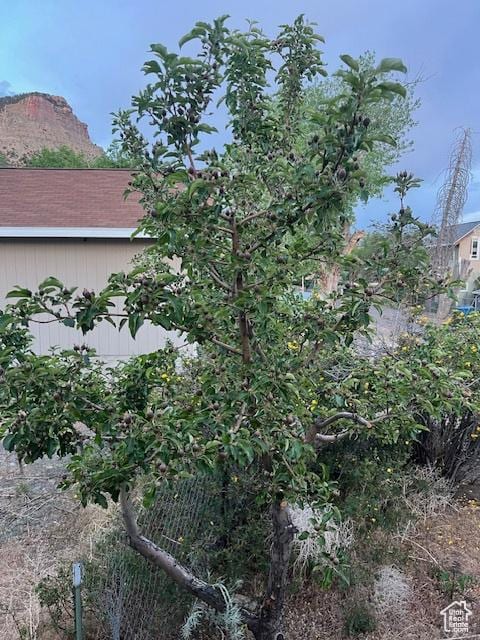 451 E 6000 N, Kenilworth, UT 84529 - photo 28