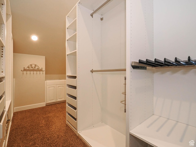 919 E 13800 S, Draper, UT 84020 - walk in closet featuring carpet flooring