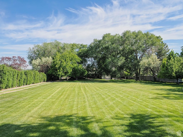 919 E 13800 S, Draper, UT 84020 - view of yard