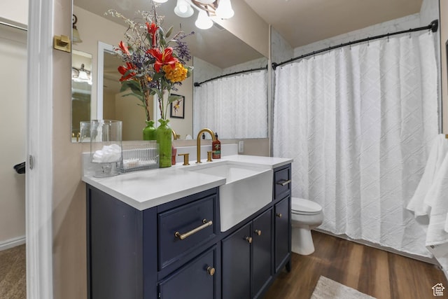 7198 S Milky Hollow Ln, West Jordan, UT 84084 - bathroom featuring vanity, wood finished floors, and toilet