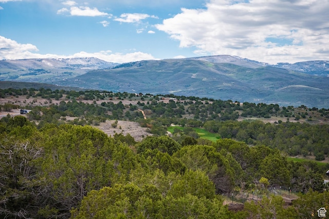 1458 N Monroe Peak Cir Unit 634, Heber City, UT 84032