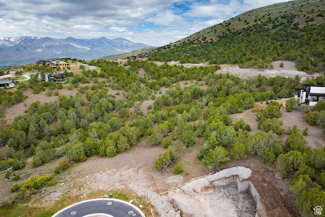 1458 N Monroe Peak Cir Unit 634, Heber City, UT 84032