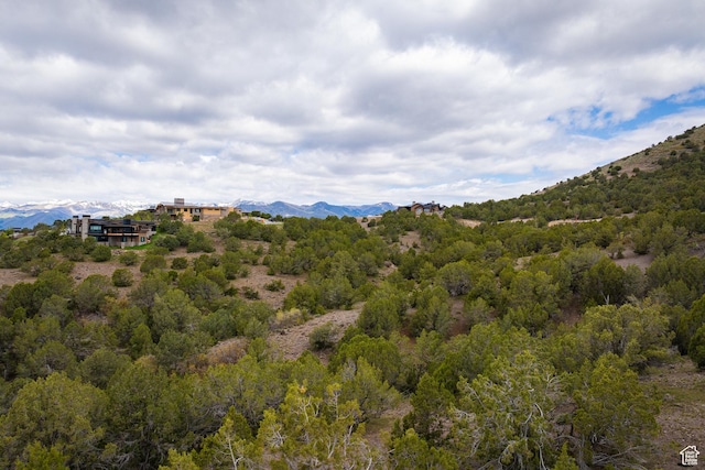 1458 N Monroe Peak Cir Unit 634, Heber City, UT 84032