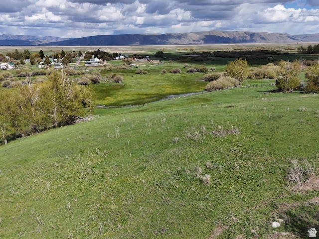Bloomington, ID 83223