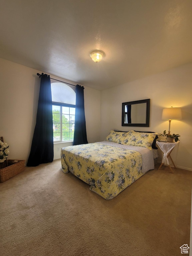2981 S Pika Dr, West Valley City, UT 84128 - bedroom with carpet