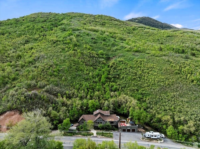 5548 E Emigration Canyon Rd E, Salt Lake City, UT 84108 - mountain view with a heavily wooded area