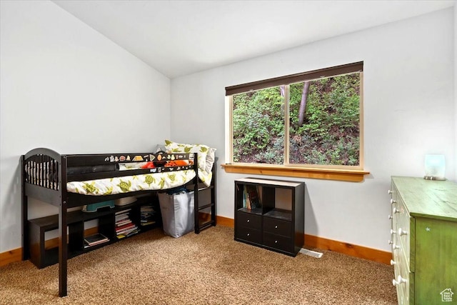 5548 E Emigration Canyon Rd E, Salt Lake City, UT 84108 - bedroom with carpet and baseboards
