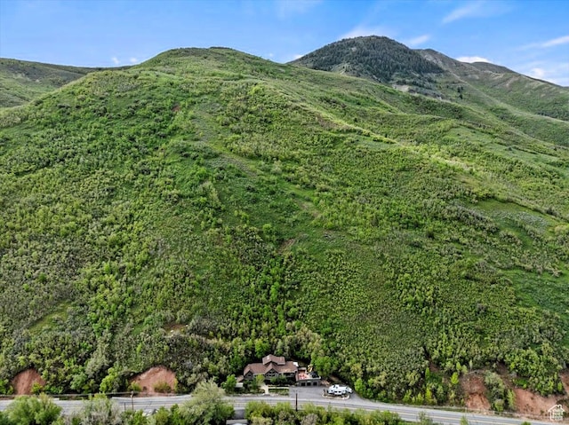 5548 E Emigration Canyon Rd E, Salt Lake City, UT 84108 - view of mountain background