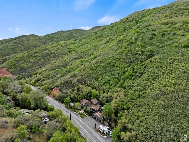 5548 E Emigration Canyon Rd E, Salt Lake City, UT 84108 - view of property location featuring a heavily wooded area and a mountain backdrop