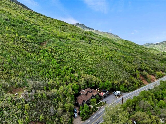 5548 E Emigration Canyon Rd E, Salt Lake City, UT 84108 - view of property location featuring a mountain backdrop and a heavily wooded area