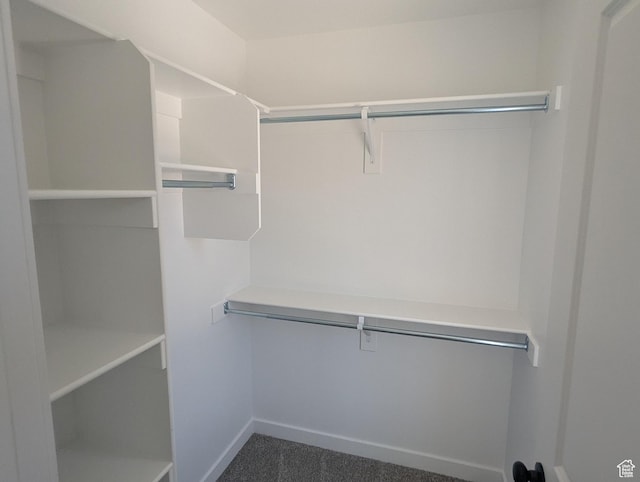 737 N Plainsman Dr Unit 108, Spanish Fork, UT 84660 - spacious closet featuring dark carpet