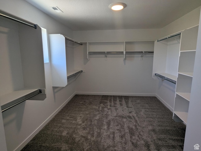 737 N Plainsman Dr Unit 108, Spanish Fork, UT 84660 - walk in closet with dark carpet