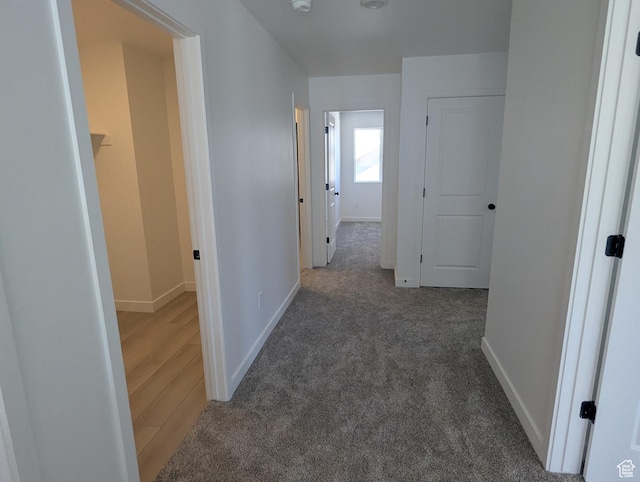 737 N Plainsman Dr Unit 108, Spanish Fork, UT 84660 - corridor with baseboards and carpet flooring