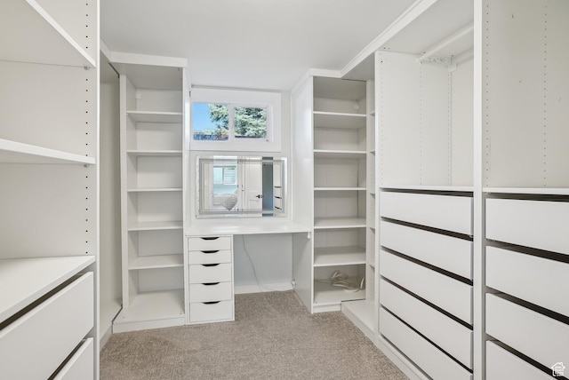 2672 S Filmore St, Salt Lake City, UT 84106 - spacious closet with light carpet