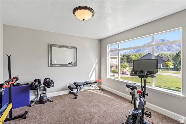 2007 N 850 E, North Ogden, UT 84414 - workout room with carpet floors and baseboards