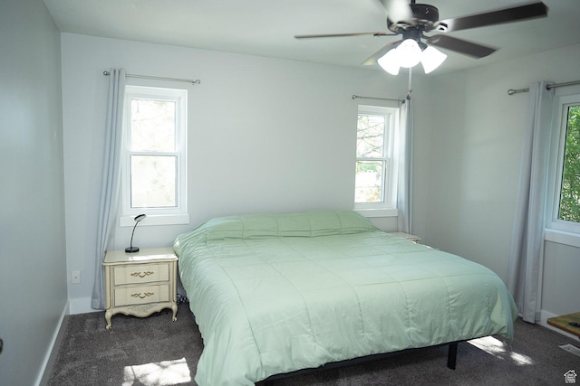 170 W 500 N, Wellsville, UT 84339 - bedroom with carpet floors, multiple windows, and a ceiling fan