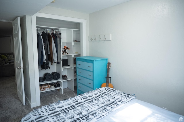 170 W 500 N, Wellsville, UT 84339 - bedroom with carpet flooring and a closet