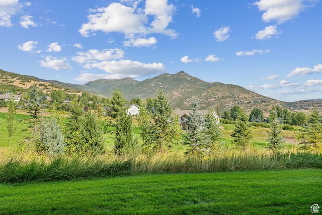 984 Uri Ln Unit 3, Midway, UT 84049 - mountain view