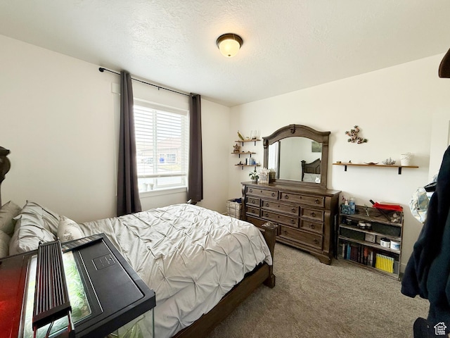 1384 E Abigail Ln, Eagle Mountain, UT 84005 - bedroom with carpet flooring and a textured ceiling