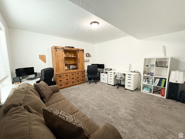1384 E Abigail Ln, Eagle Mountain, UT 84005 - carpeted home office with a textured ceiling