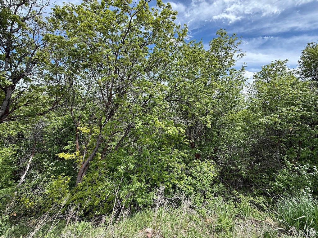 1517 S Mahogany Dr Unit B18, Garden City, UT 84028