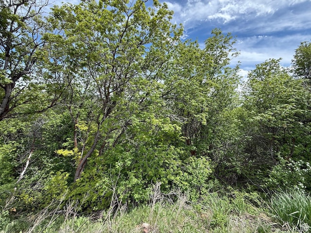 1517 S Mahogany Dr Unit B18, Garden City, UT 84028