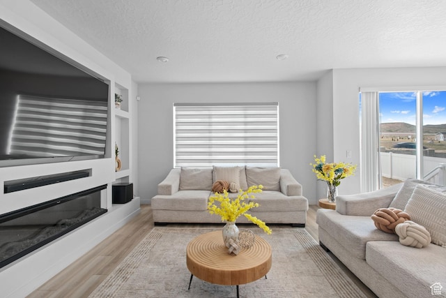 2503 N Velvet Moon Dr W Unit 636, Saratoga Springs, UT 84045 - living room featuring a textured ceiling, wood finished floors, built in shelves, and a glass covered fireplace