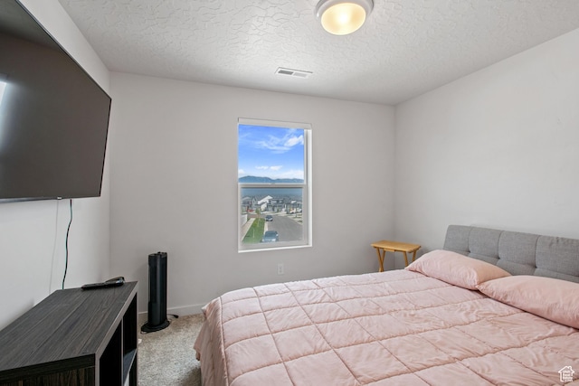 2503 N Velvet Moon Dr W Unit 636, Saratoga Springs, UT 84045 - bedroom featuring carpet flooring and a textured ceiling