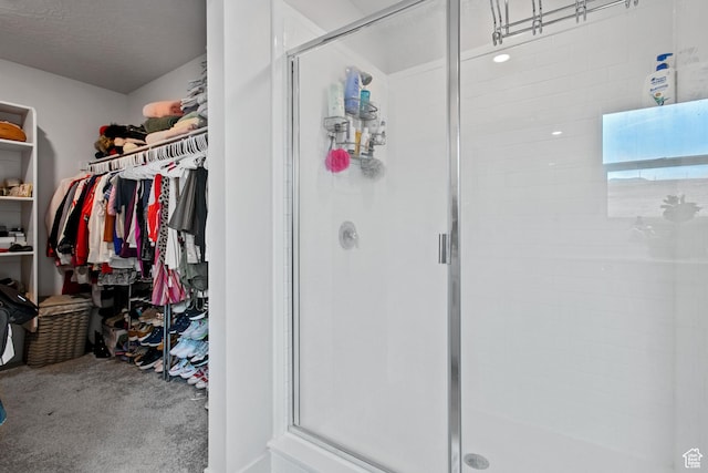 2503 N Velvet Moon Dr W Unit 636, Saratoga Springs, UT 84045 - bathroom featuring a shower stall and a spacious closet
