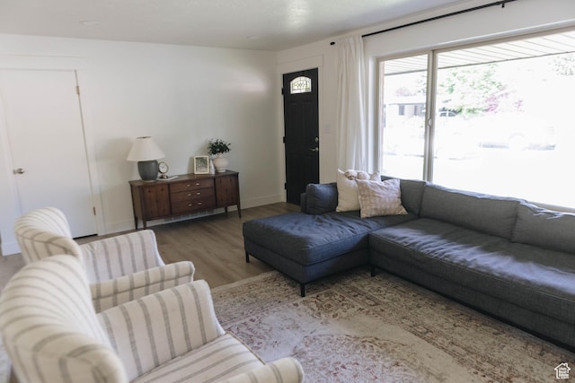 354 S 1100 E, Springville, UT 84663 - living room featuring wood finished floors and baseboards