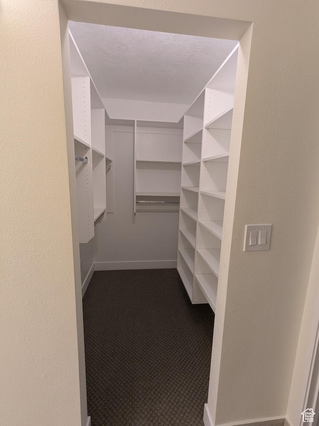 241 N Vine St W Unit 404E, Salt Lake City, UT 84103 - walk in closet with dark carpet