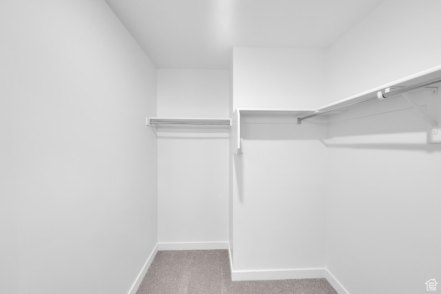 1089 S 3170 E Unit 205, Spanish Fork, UT 84660 - spacious closet with carpet floors