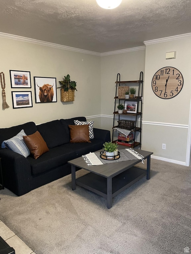 685 N 340 W, Orem, UT 84057 - carpeted living area with ornamental molding, a textured ceiling, and baseboards