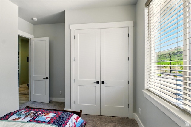 653 S 1140 E, Smithfield, UT 84335 - bedroom featuring carpet flooring, a closet, and baseboards